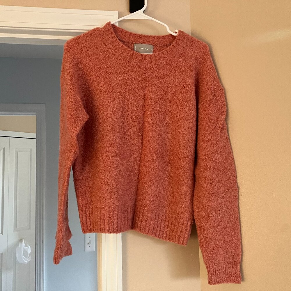 Everlane Teddy‎ Boucle Crew Neck Wool Sweater - Coral